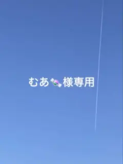 むあ様専用