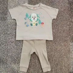 いないいないばぁ　わんわん　うーたん　 ZARA　半袖　９０cm　　74cm