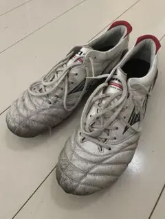 Mizuno プロフェッショナルモデル MORELIANEO 22センチ - メルカリ