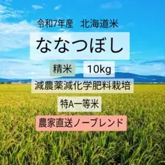 令和7年産 兵庫県産にじのきらめき 大粒つやつや 湧き水 農家直送 20kg 令和7年産 兵庫県産にじのきらめき 大粒つやつや 湧き水 農家直送 20kg