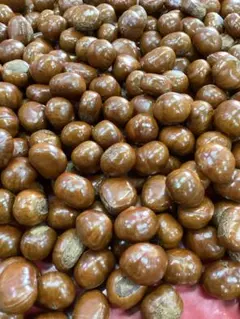 【まいまい】　様専用ビックサイズ‼️天津甘栗‼️1キロ入り13日木曜日に発送