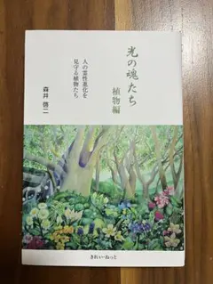2025年最新】森井 啓二 光の魂たちの人気アイテム - メルカリ