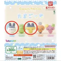 たまごっち カプセルフロッキーズ　2種セット　まめっち　みみっち