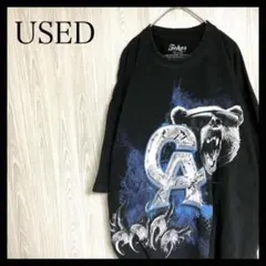 アメリカ古着半袖Tシャツビッグプリントアニマル系ベアーオーバーサイズ