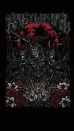 BABYMETAL パーカー MetalWalkure Lサイズ 未開封