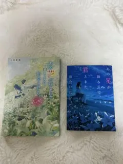 汐見夏衛 小説 2冊セット あの花が咲く丘で、君とまた出会えたら。他