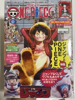 新品未使用 ワンピースマガジン 20号 プロモ付き モンキー・D・ルフィ雑誌1冊