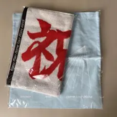 SnowMan ドームツアー　2024RAYS ショップバッグ　タオル