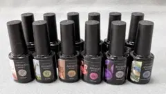 ⭐︎ほぼ新品⭐︎ネイル工房　アニマルマグネット　12本セット　プロ　セルフネイル