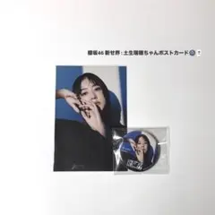 櫻坂46 土生瑞穂 新せ界 グッズ