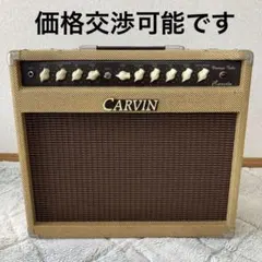 2025年最新】carvin アンプの人気アイテム - メルカリ