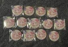 アイカツ！星宮いちご 星宮いちごだらけ缶バッジ 21個 アクリル