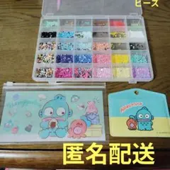 匿名配送ビーズセット　収納ケース付き　サンリオ　ハンギョドン2点セット