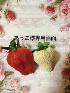 あっこ様 リクエスト 2点 まとめ商品