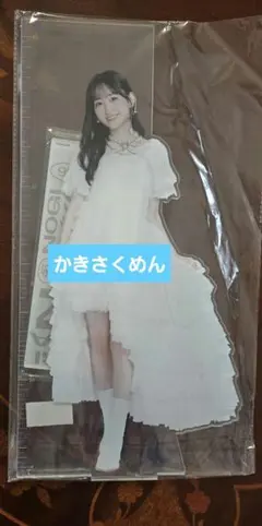 Item thumbnail for item 8cc6ee60-265f-43a4-b2e8-2d4f6c930c4e