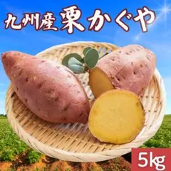 【九州産】栗かぐや 5kg 訳あり さつまいも 鳴門金時好きに43