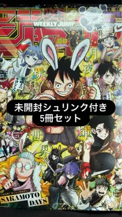 2005年の『週刊少年ジャンプ』18号の綴じ込み付録 - メルカリ