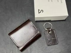 【初回限定版】ワイルドスワンズ　STELLA（ステラ）のサムネイル