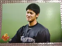 大谷翔平 2015 ハイライトフォト No.204 日本ハム 球団公式写真