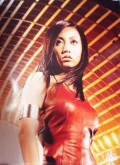 【B2ポスター】倖田來未 / TAKE BACK /デビューマキシシングル B2ポスター】倖田來未 / TAKE BACK /デビューマキシシングル B2