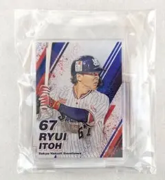 伊藤琉偉 東京ヤクルトスワローズ アクスタ