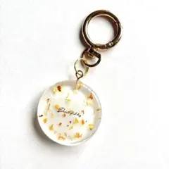 Item thumbnail for item 37381ed4-2754-4833-93cd-0d36ca05bdd9