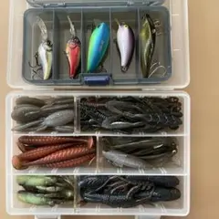 ブラックバス 引退ルアーセット ビッグベイト ワーム - メルカリ