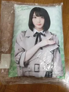 Item thumbnail for item 3b434792-6abc-4022-951d-7547f11343c4