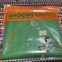 スヌーピーレジャーシートBOOK