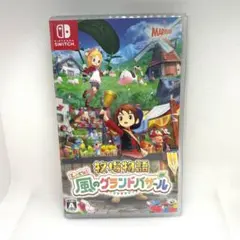 【即購入可】　牧場物語　Let's 風のグランドバザール　GEO特典付き