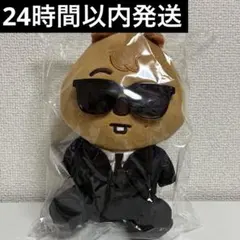 スキズ StrayKids POPUP限定 ぴょこぴょこぬいぐるみ ポカリ - メルカリ