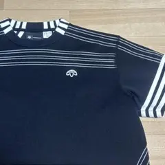 美品✳︎アディダス アレキサンダーワン ブラック クロップドトップス Tシャツ