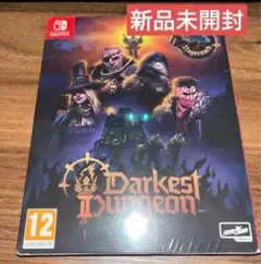 Darkest Dungeon 2 switch