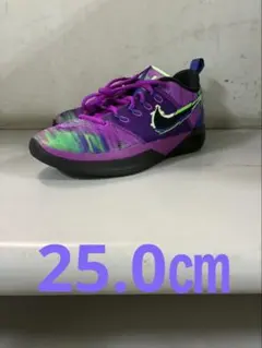 希少⭐︎完売 パープル バッシュ ナイキ GS サブリナ3 nike 23.5