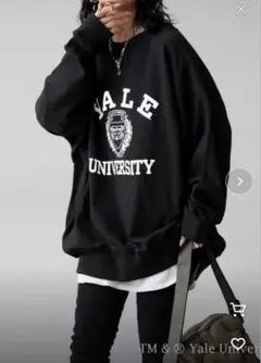 アンティカ　YALE ユニバーシティ　トレーナー　スウェット　フリーサイズのサムネイル