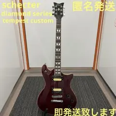 即発送 schecter diamond tempest customのサムネイル