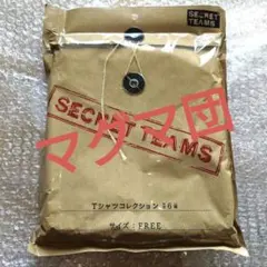 ポケモンセンター 悪の組織 SECRET TEAMS プラズマ団 ロゴTシャツ