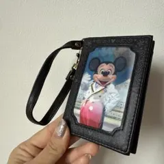 ディズニー　ミッキー　パスケース　実写　旧フェイス　美品