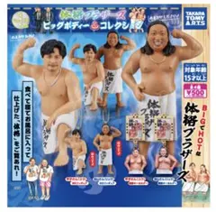 体格ブラザーズ ビッグボディコレクション　コンプリート