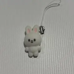 stray kids 韓国 本国 ペンミ SKZOO チャーム リノ