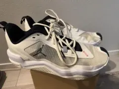 NIKE air jordan ワンテイク4