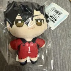 ハイキュー ぬいパル 黒尾鉄朗