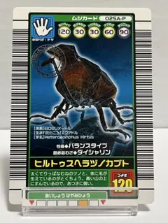 2026年最新】ヒルトゥスヘラヅノカブトの人気アイテム - メルカリ