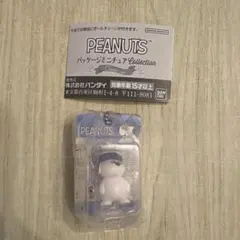 PEANUTS パッケージミニチュアコレクション キーチェーン付