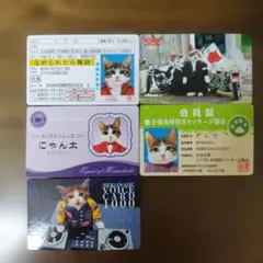 昔懐かしなめ猫免許証！ - メルカリ