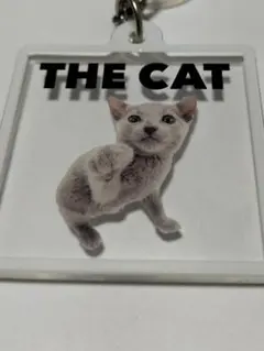 ♥♥THE CAT アクリルキーホルダー