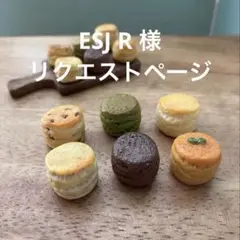 ESJ R 様　リクエストページ　スコーン6種