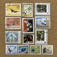 3562 外国切手 アルバニア 1967年 バラ 8種完 3562 外国切手 アルバニア 1967年 バラ 8種完 - メルカリ