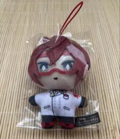 ツイステッドワンダーランド　リドル　実験着　ぬいぐるみ