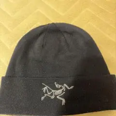 ARC'TERYX Embroidered Bird Toque 58のサムネイル